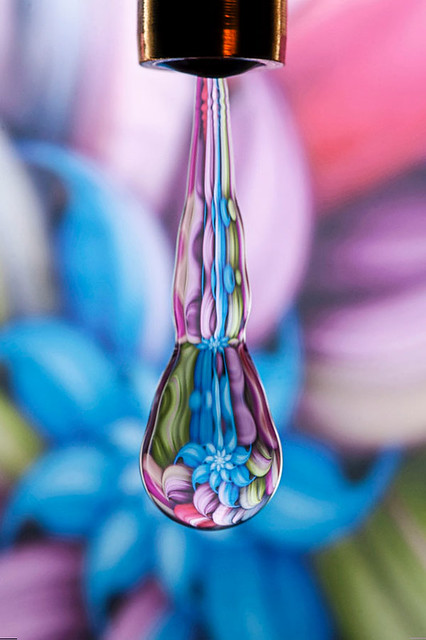 Beautiful Macro Photography Water Drop