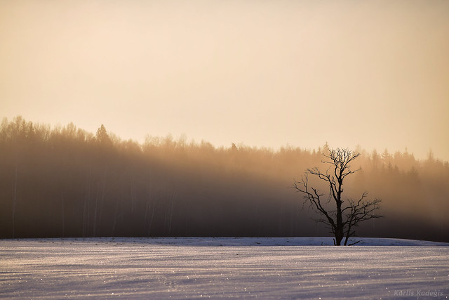 Frosty Morning Sunrise in Latvia