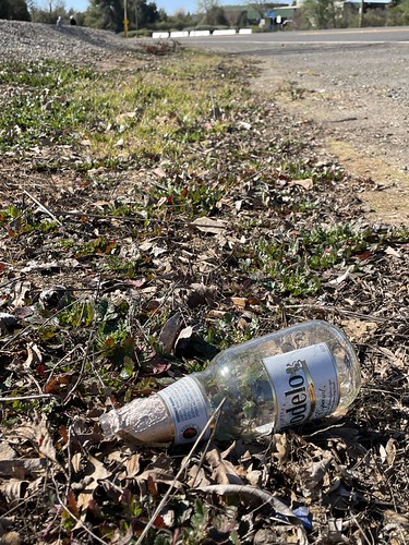 Sacramento Splash Cleanup | by rudyg39