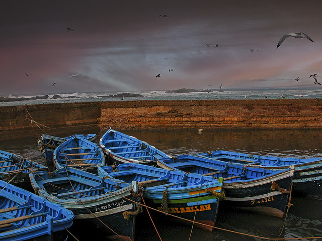 Blue boats of Essaouira (4)