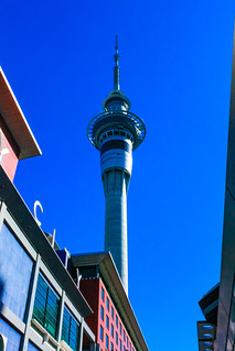 Der Sky Tower in Auckland