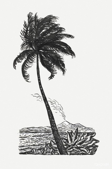 Palm tree with an island (ca. 1891–1941) drawing in high resolution by Leo Gestel. Original from The Rijksmuseum. Digitally enhanced by rawpixel.