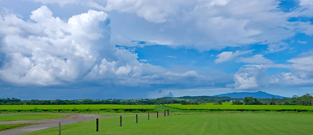 Afternoon storm over Nerada Tea Estate - Glen Allyn, Atherton Tablelands, Far North Queensland, Australia.
