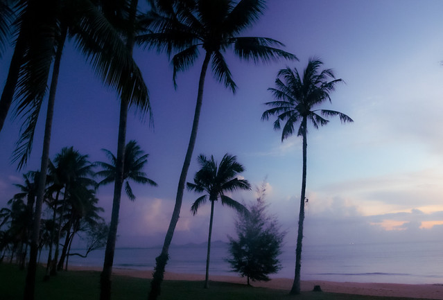 Sunrise With Palms