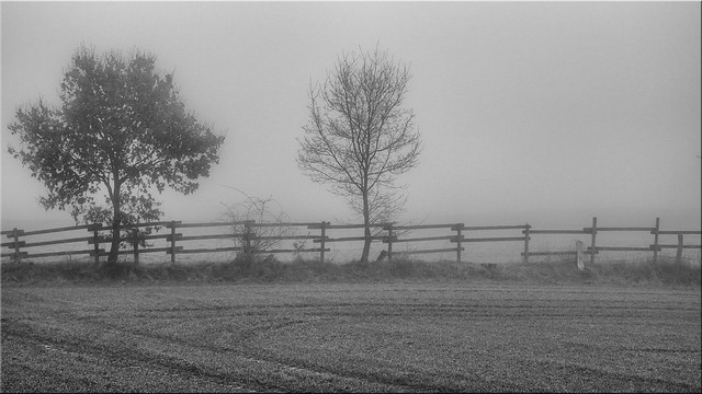 A foggy winter morning