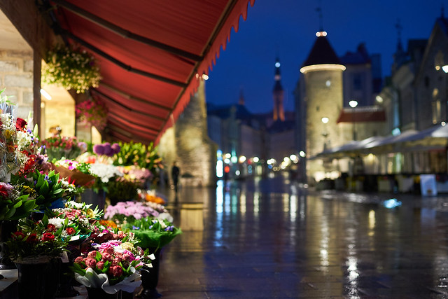Tallinn Rainy Street