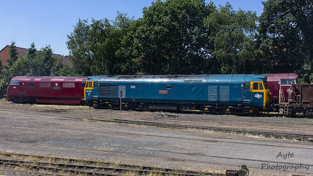 Various Loco's at Diesel Depot Severn Valley Railway  @ Kidderminster-8995
