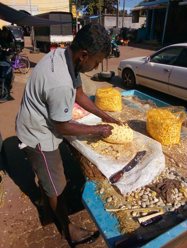 He is removing the seeds.  I only bought jackfruit seeds (kos atta; 1kg was 150 Rs.). by bryandkeith on flickr