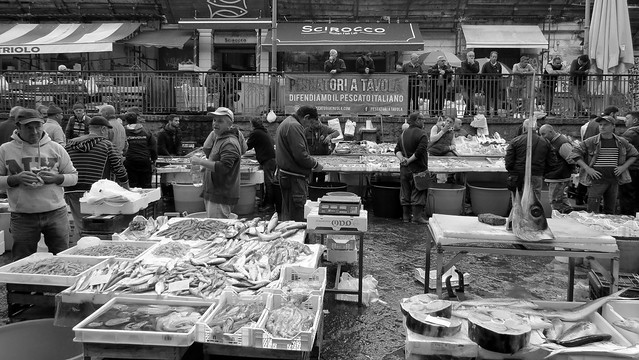 Catania's Famous Fish Market