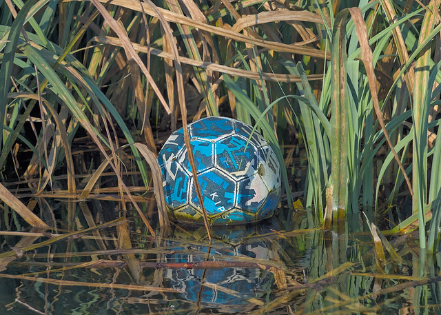 The ball in the moat