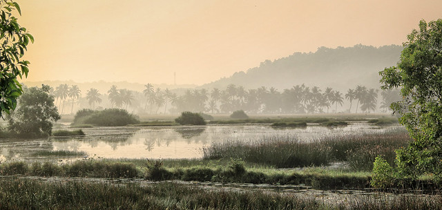 Take Care of Wetlands