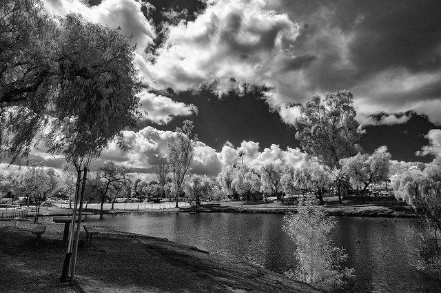 Clouds Trees And Light At Lindo Lake In B&W IR