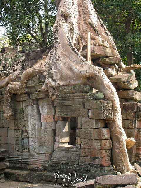 Angkor, Cambodja | 100 dagen Azië