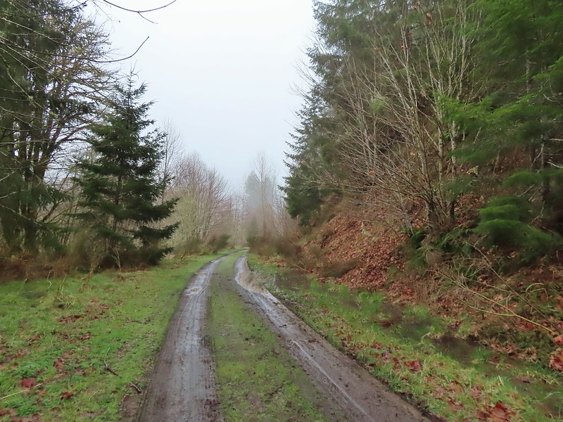 CZ Trail
