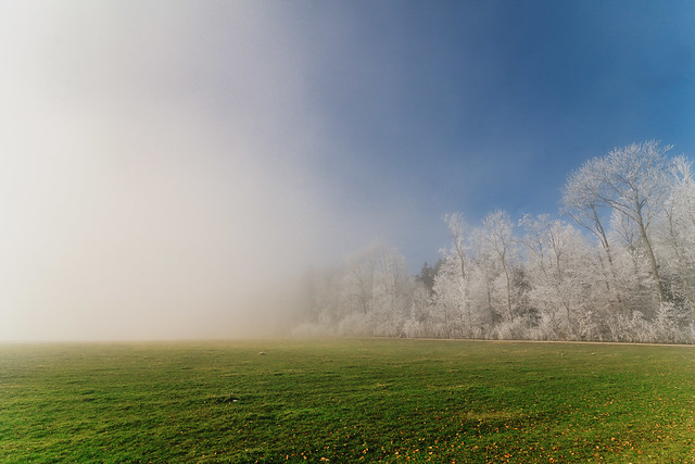 Foggy winter landscape