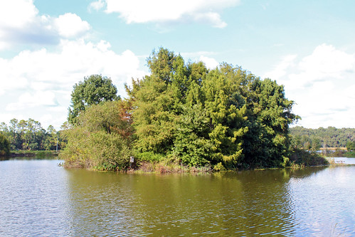Piney Z Lake, Tallahassee by StevenM_61, Tree-covered island in lake.trees lake landscape island scenery florida tallahassee