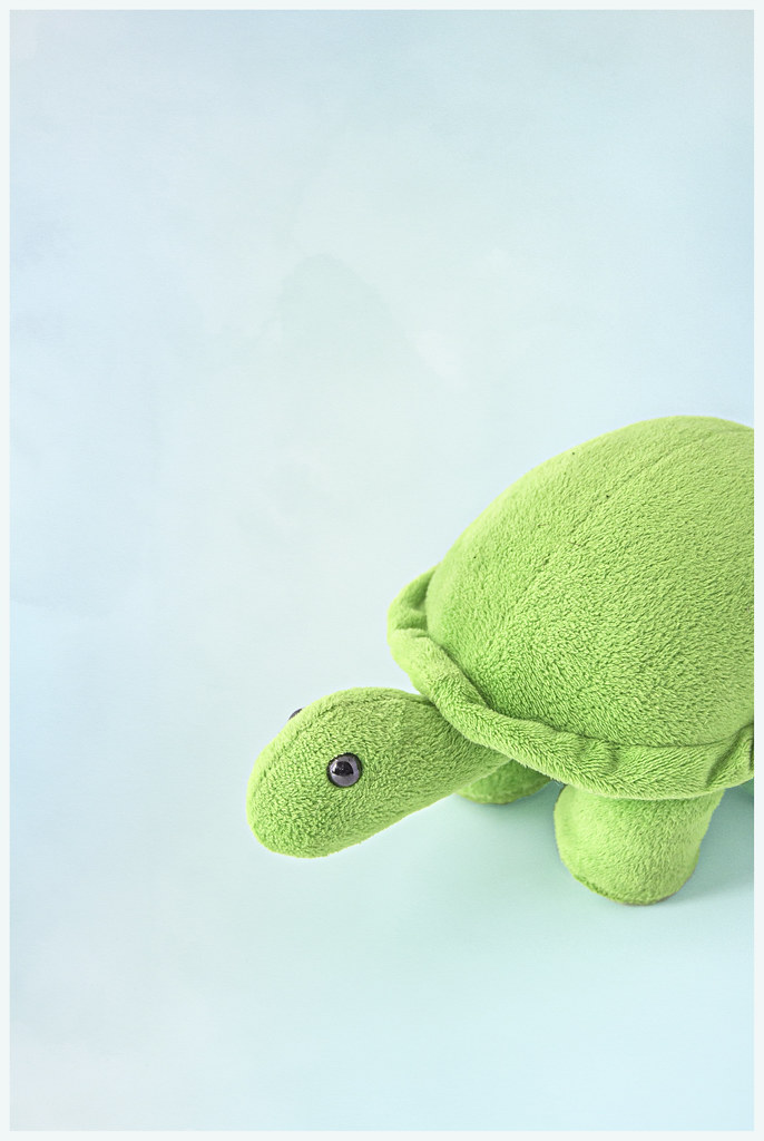 Turtle Plushie [Explored]