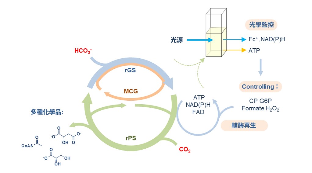 人工固碳循環示意圖。圖片來源：中研院提供