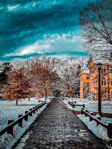 A snowy Old Campus morning.