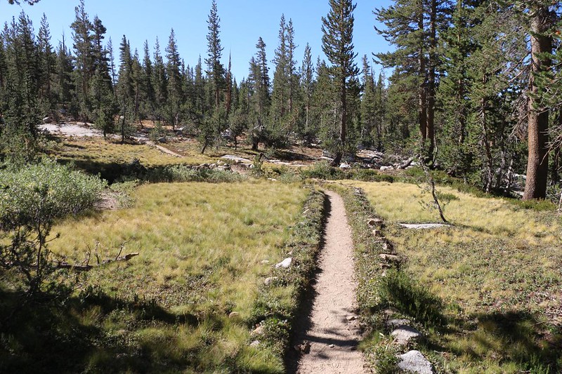 The John Muir Trail was well-traveled in this forested section south of Silver Pass