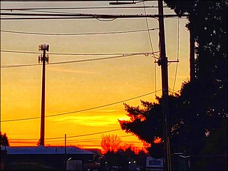 Sunset, Wires and a Burning Bush