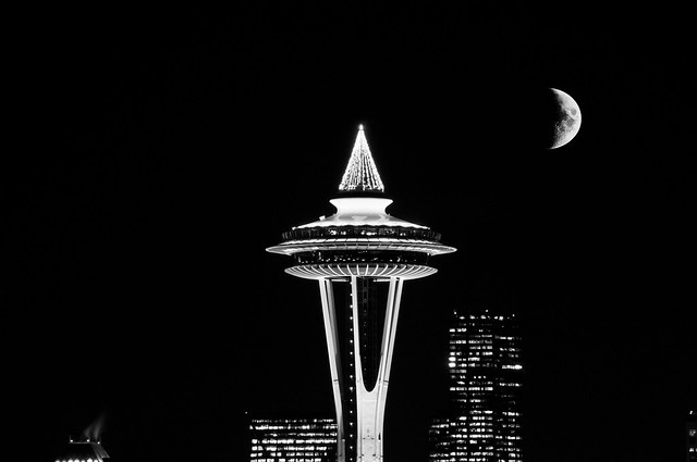 The Needle and The Moon (BW)