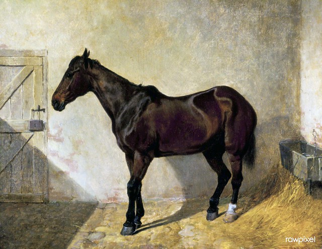 Horse (1842) painting in high resolution by John Frederick Herring. Original from the Minneapolis Institute of Art. Digitally enhanced by rawpixel.