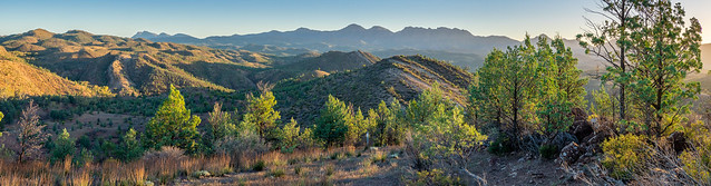 bunyeroo valley panorama - 0730