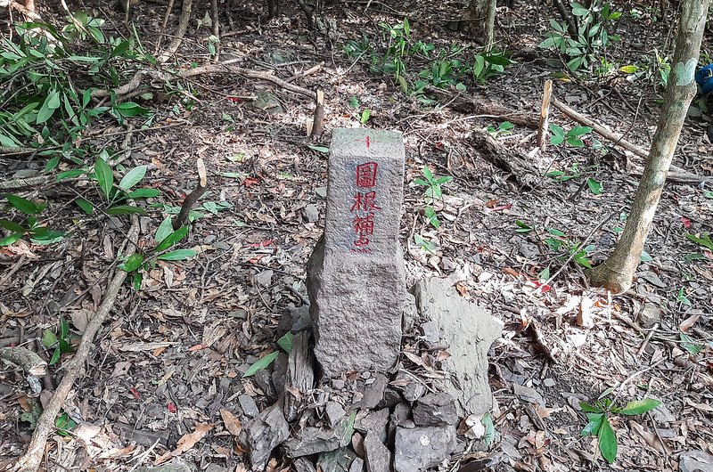東高社山台灣省政府圖根補點(Elev. 370 m) (2)