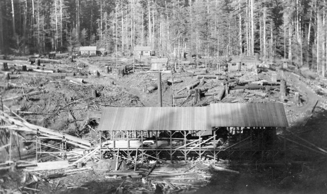 L. B. Menefee mill and camp, north of Wendling, OR May-June 1921