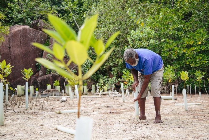 復育紅樹林與溼地等自然復育方法，可同時協助抵禦洪災。圖片來源：UNEP&Climate Adaptation／Flickr（CC BY-NC 2.0）