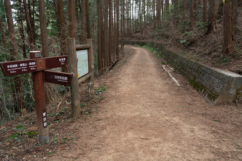 日向和田駅の分岐