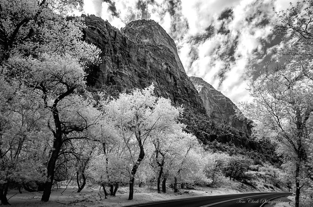 Zion Canyon scenic drive in infrared