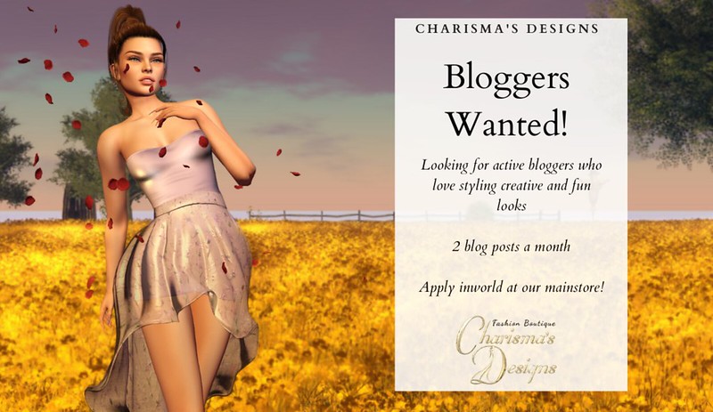 Charisma's Designs is looking for bloggers!