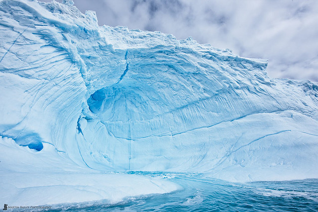 Stunning Iceberg Photography