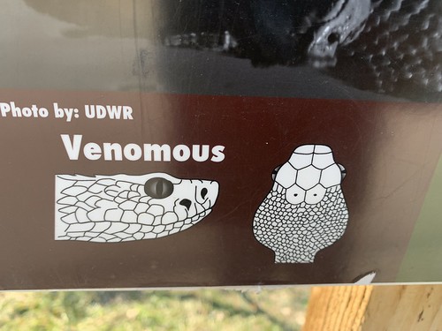 Venomous vs non-venomous