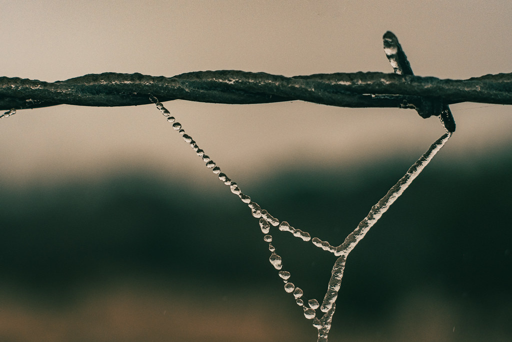 frozen droplets and barbed wire