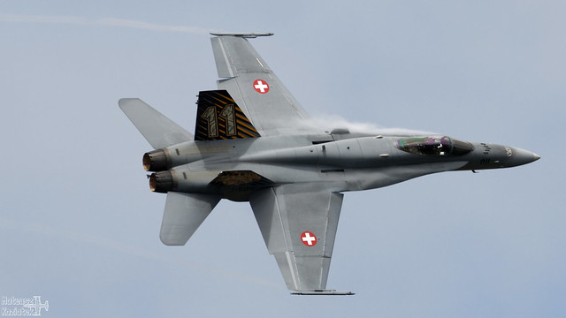 Swiss Air Force McDonnell Douglas F/A-18C Hornet J-5011