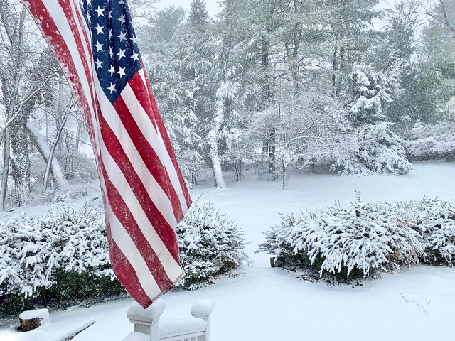 Snowy Saturday in Pennsylvania - Bucks County