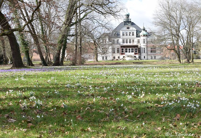 Schlosspark Uebigau - südl. Brandenburg