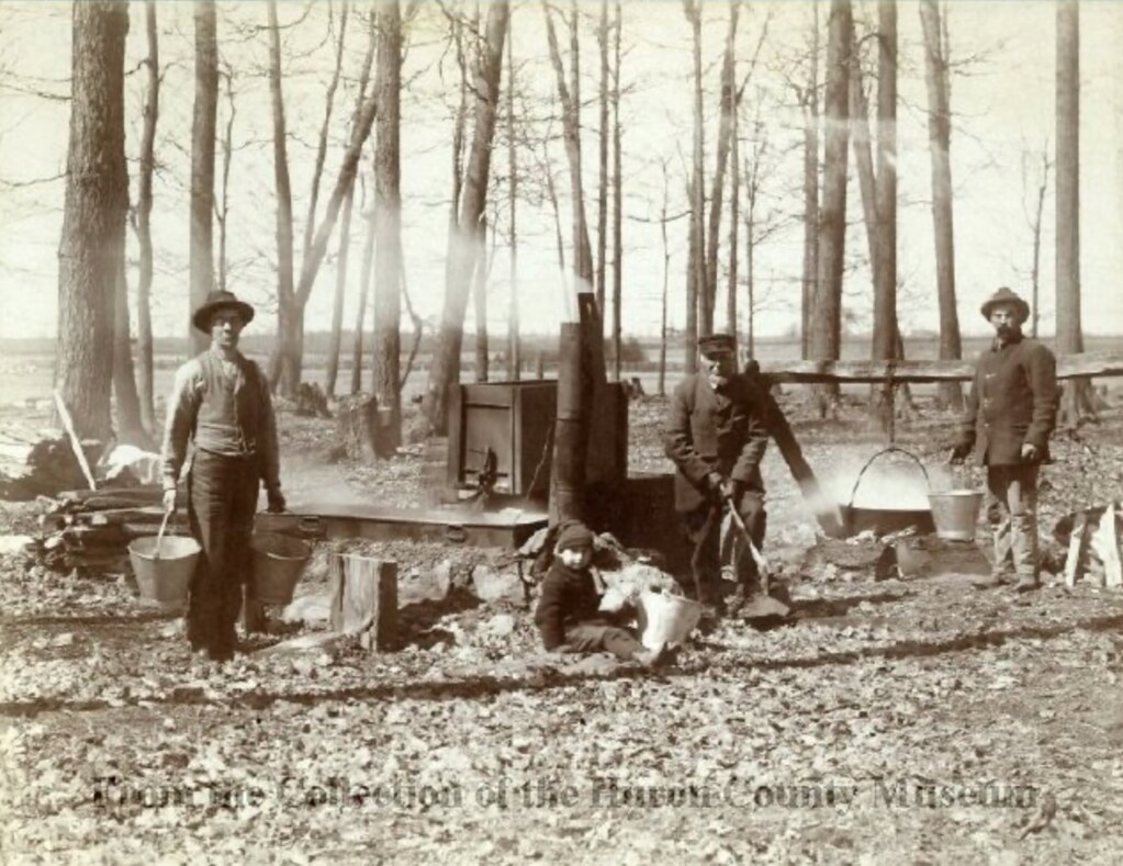 This is an outdoor, black and white photograph of three men and a boy working in a sugar bush on Lot 11, Con. 10, Grey Township, around 1900. From l-r: John McNair, William Martin and Will McNair.