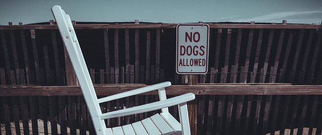 no dogs allowed (boardwalk afternoon #4)