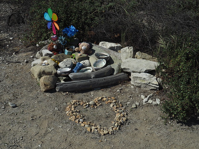 V3068771 Goleta Beach bluff memorial for pets