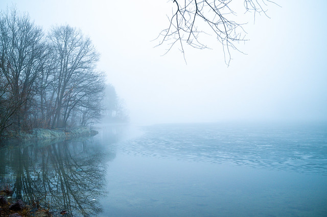 Spot pond - Foggy Morning