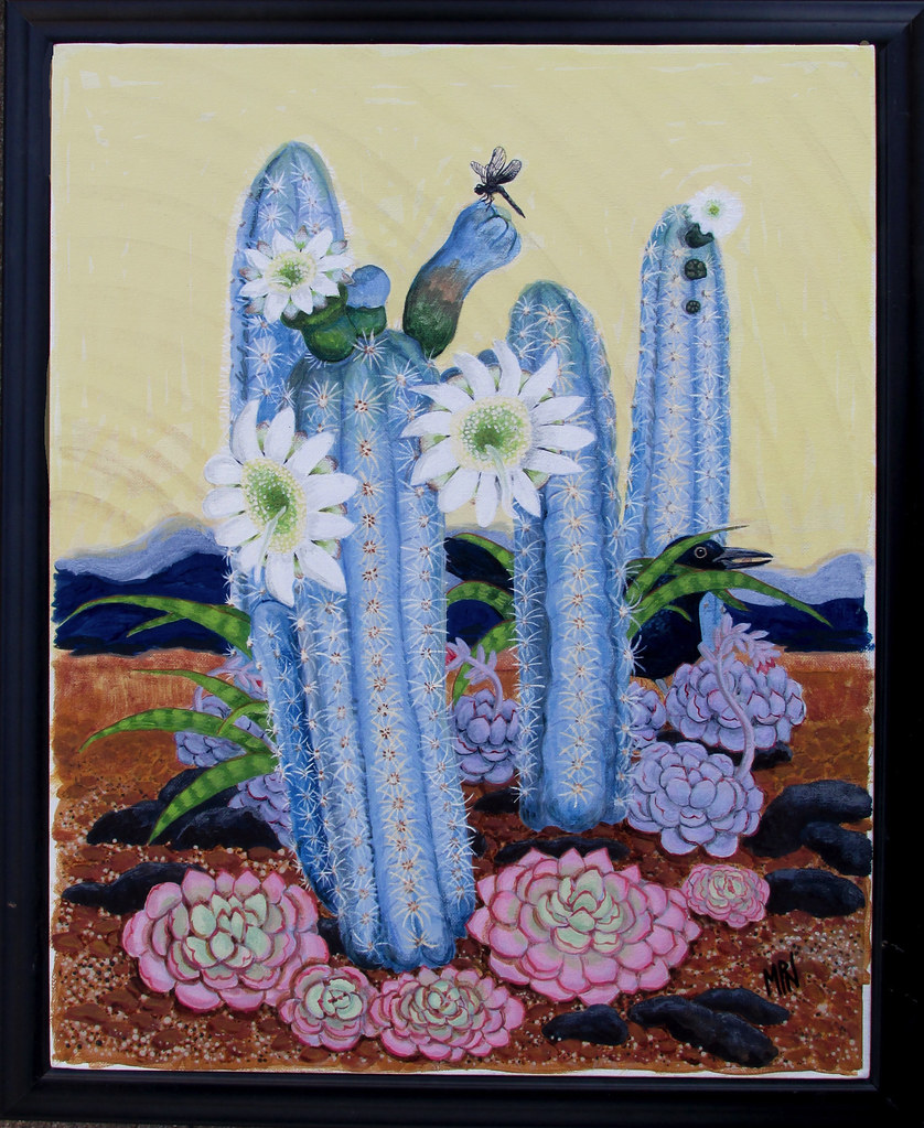 Peruvian Blue Cactus