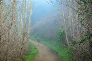 Thumbnail image for album (Hiker in the fog)