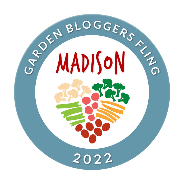 Madison GB Fling 2022 Logo hi-res