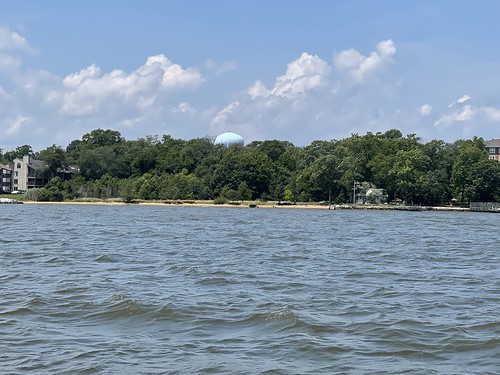 Photo of wooded beachfront area taken from the water