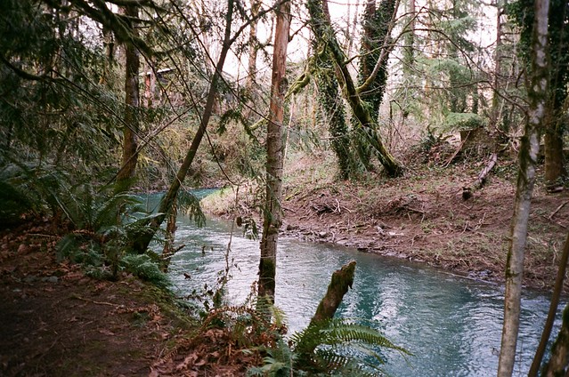 Johnson Creek at Kingsley D. Bundy Park, 10 Mar 2022