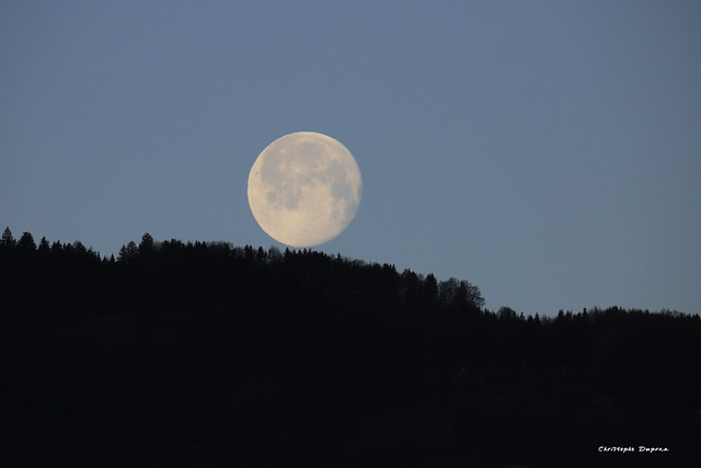 La lune en équilibre sur les sapins (Vercors, Isère, Grenoble)